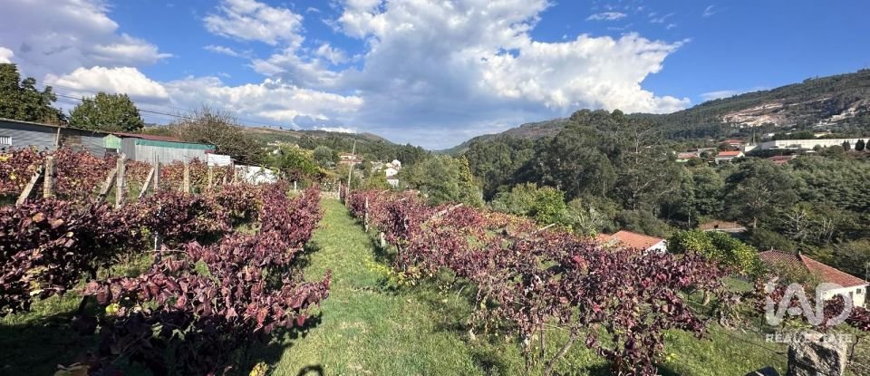 Terreno rústico em Fornelos e Queijada de 2 784 m²