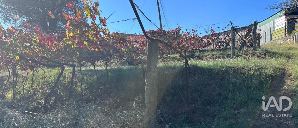 Terreno rústico em Fornelos e Queijada de 2 784 m²