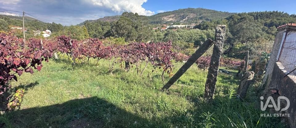 Terreno rústico em Fornelos e Queijada de 2 784 m²