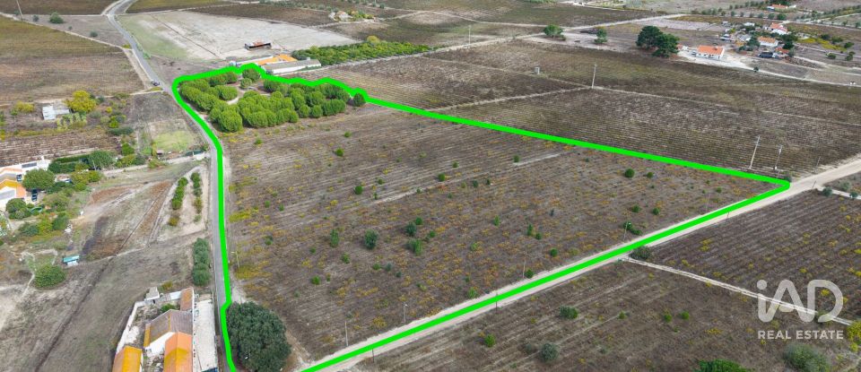 Terreno em Poceirão e Marateca de 32 500 m²