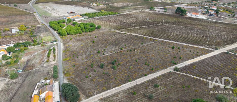 Terreno em Poceirão e Marateca de 32 500 m²