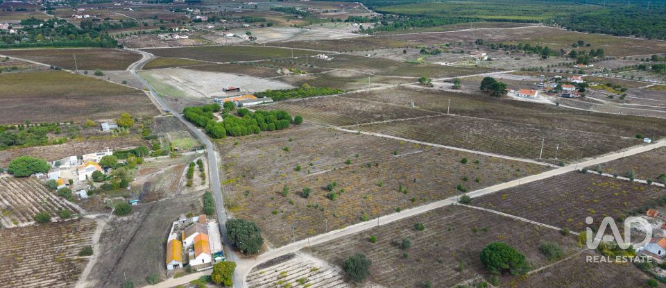 Terreno em Poceirão e Marateca de 32 500 m²