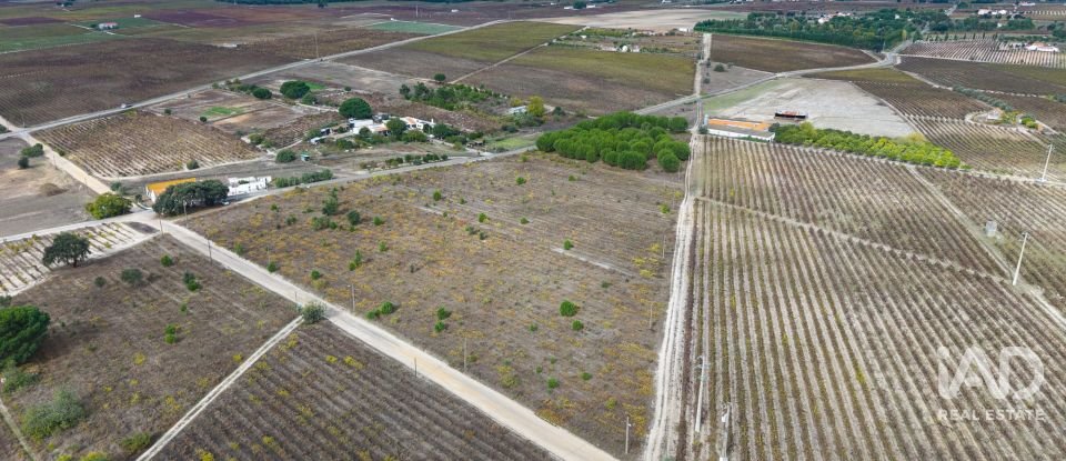 Terreno em Poceirão e Marateca de 32 500 m²