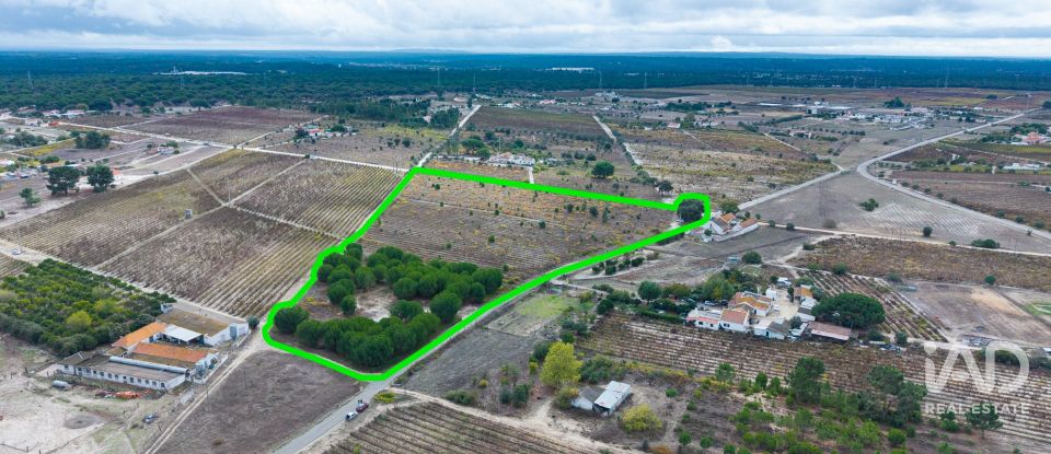 Terreno em Poceirão e Marateca de 32 500 m²