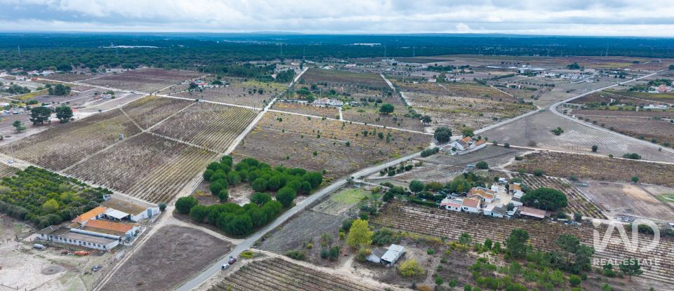 Terreno em Poceirão e Marateca de 32 500 m²