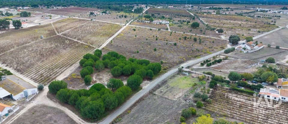Terreno em Poceirão e Marateca de 32 500 m²