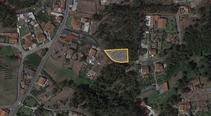 Terrain agricole à Marinha Grande de 1 141 m²