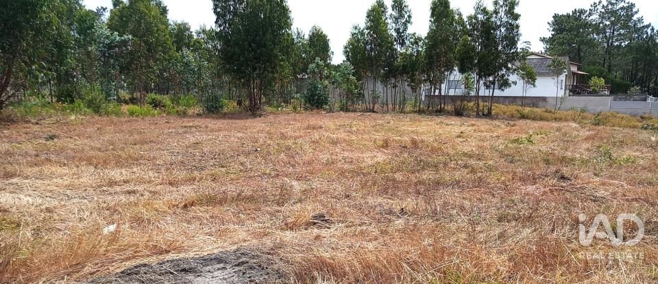 Terreno rústico em Marinha Grande de 1 141 m²