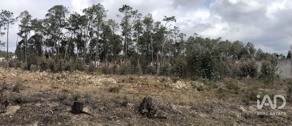 Terreno rústico em Marinha Grande de 1 141 m²