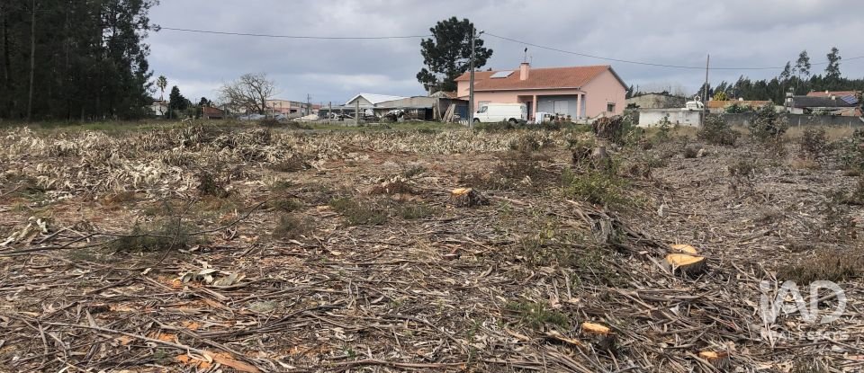 Terreno rústico em Marinha Grande de 1 141 m²