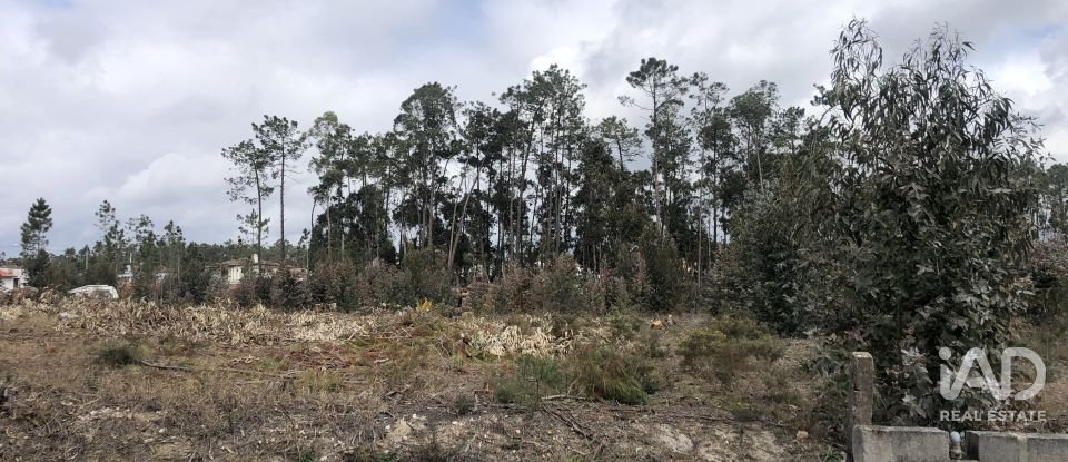 Terreno rústico em Marinha Grande de 1 141 m²