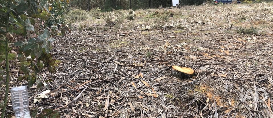 Terreno rústico em Marinha Grande de 1 141 m²