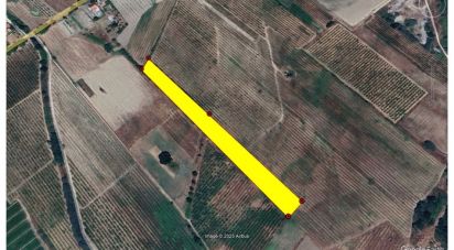 Terrain agricole à Orjais de 10 987 m²