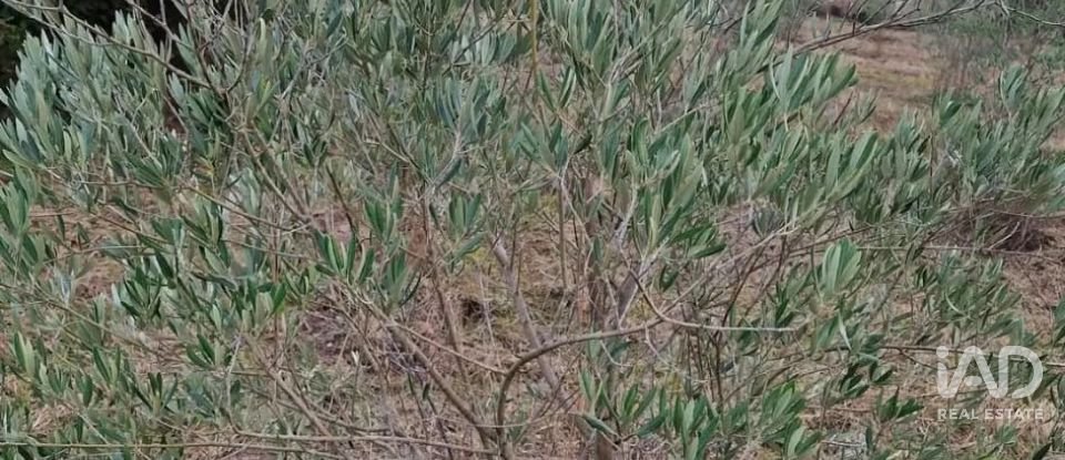 Terreno rústico em Orjais de 10 987 m²