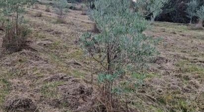 Terreno rústico em Orjais de 10 987 m²