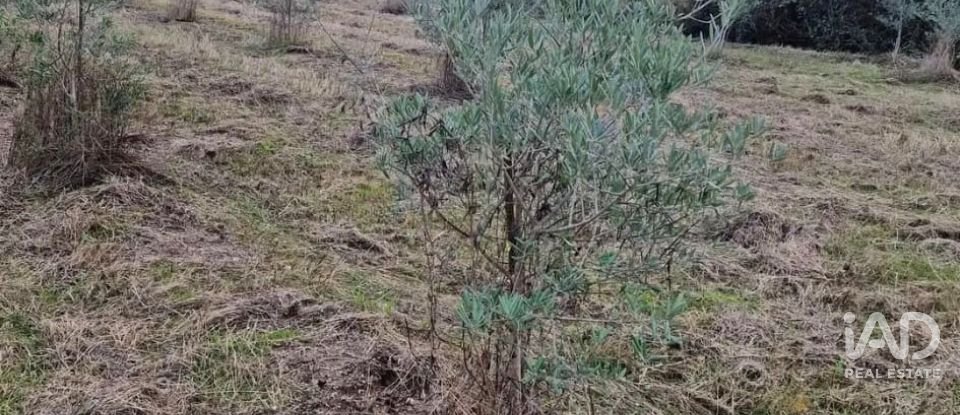 Terreno rústico em Orjais de 10 987 m²