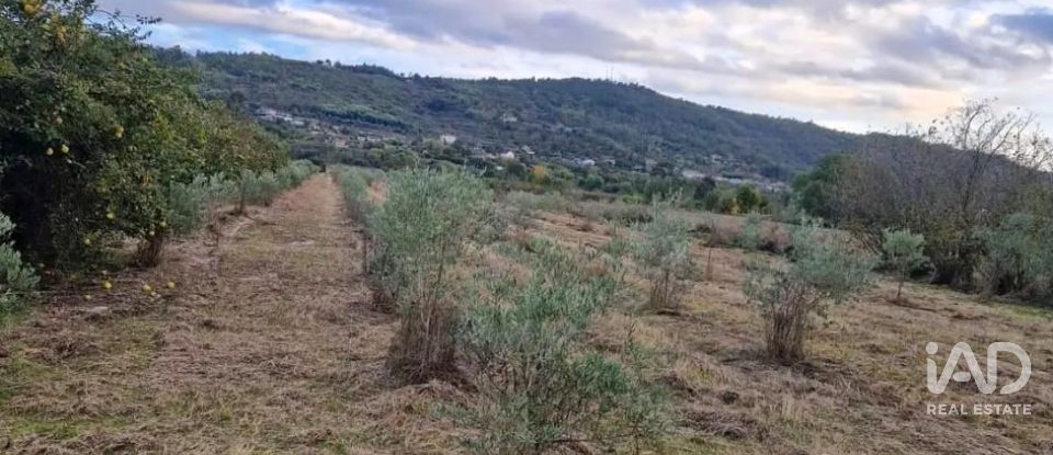 Terreno rústico em Orjais de 10 987 m²
