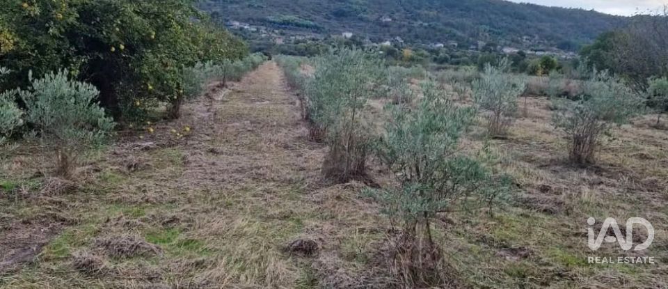 Terreno rústico em Orjais de 10 987 m²