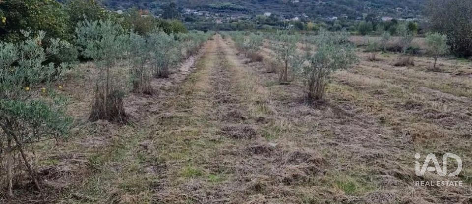 Terreno rústico em Orjais de 10 987 m²