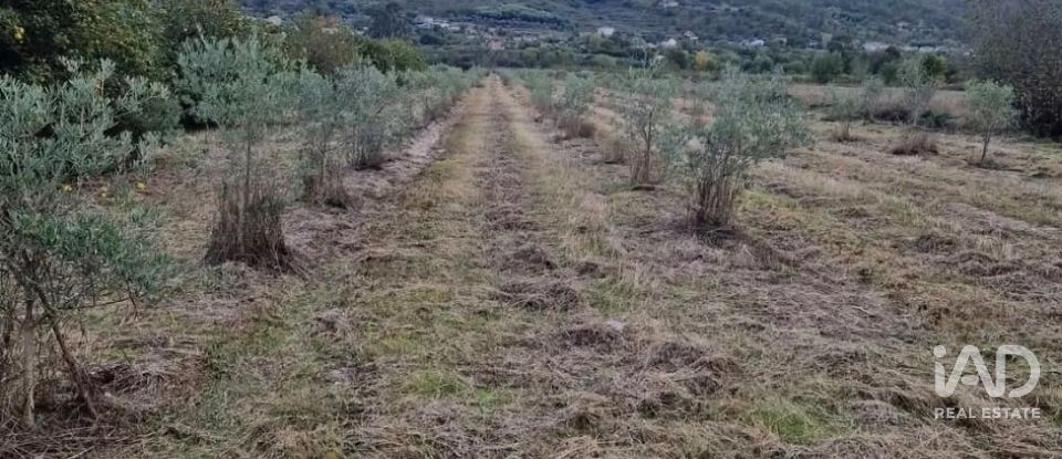 Terreno rústico em Orjais de 10 987 m²