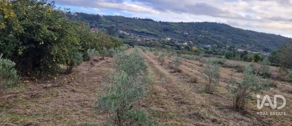 Terreno rústico em Orjais de 10 987 m²