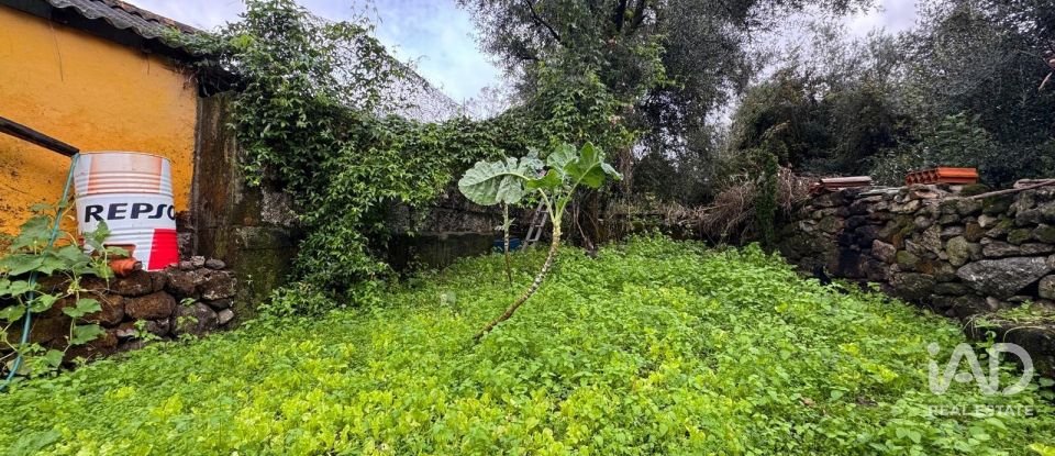 Moradia T2 em Bravães de 80 m²