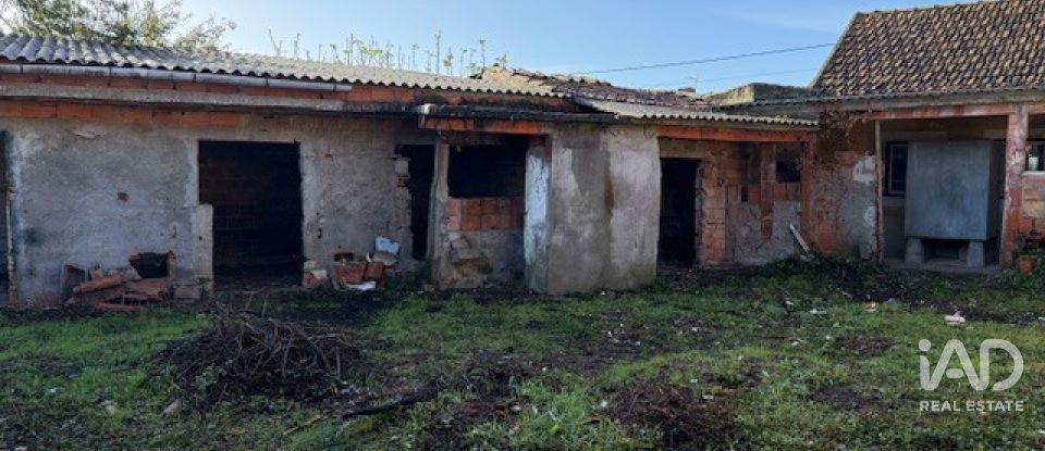 Casa de Campo T3 em Monte Real e Carvide de 136 m²