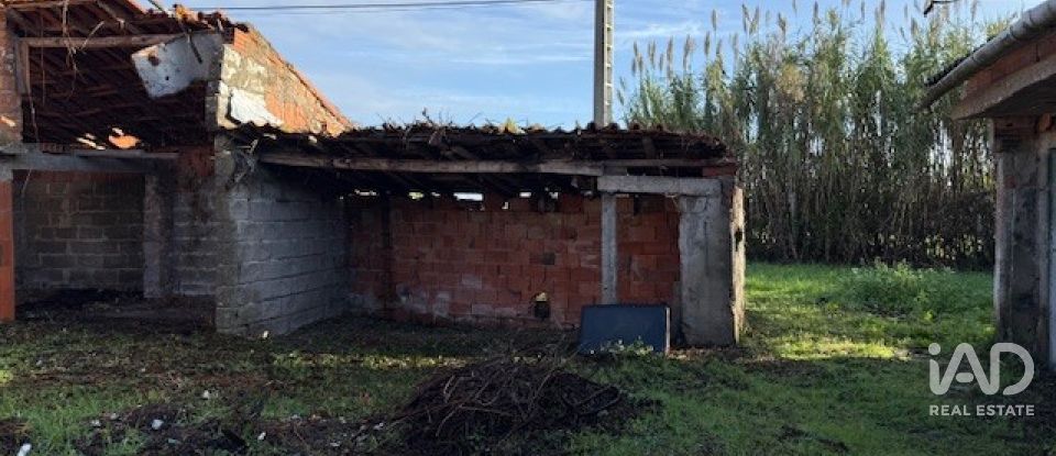 Casa de Campo T3 em Monte Real e Carvide de 136 m²