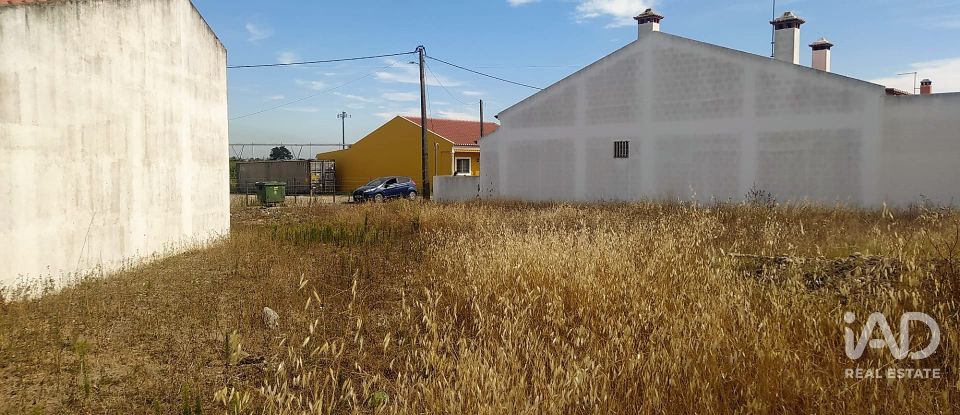 Terrain à Benfica do Ribatejo de 599 m²