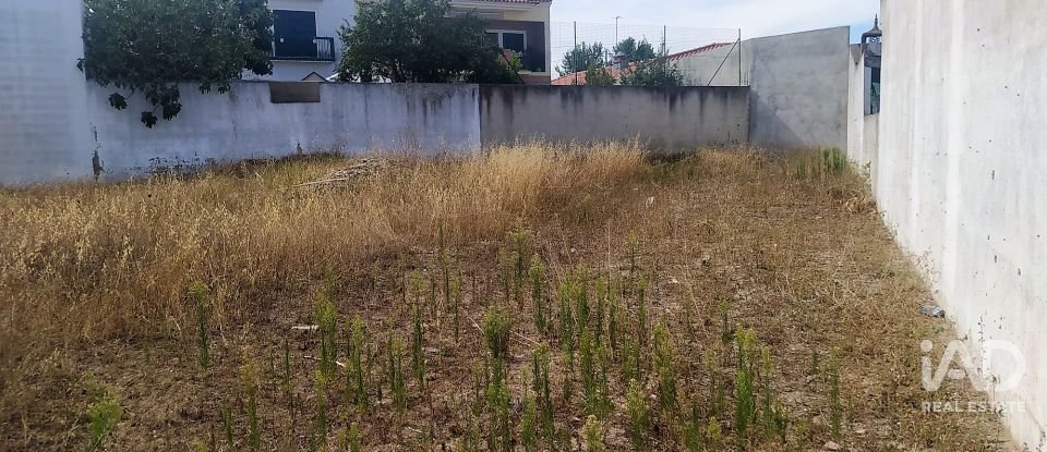 Terrain à Benfica do Ribatejo de 599 m²