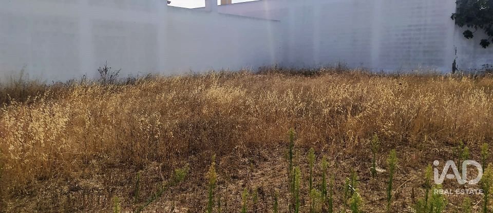 Terrain à Benfica do Ribatejo de 599 m²
