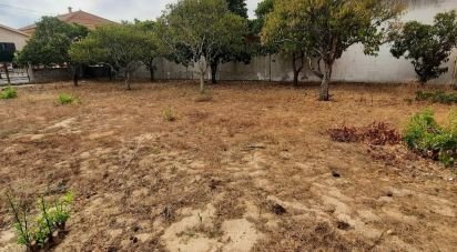 Building plot in Muge of 375 m²