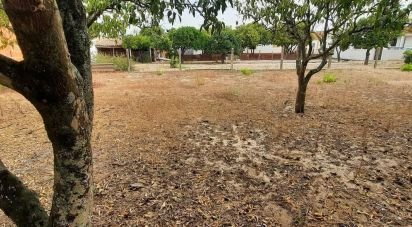 Building plot in Muge of 375 m²