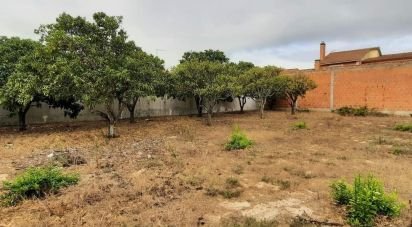 Building plot in Muge of 375 m²