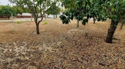 Building plot in Muge of 375 m²