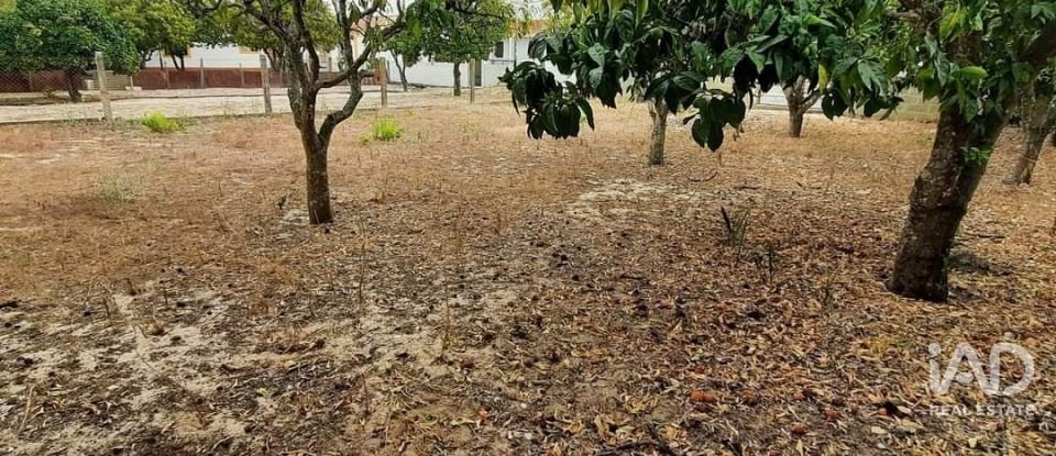 Terrain à bâtir à Muge de 375 m²