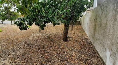 Building plot in Muge of 375 m²