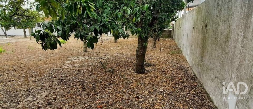 Terrain à bâtir à Muge de 375 m²