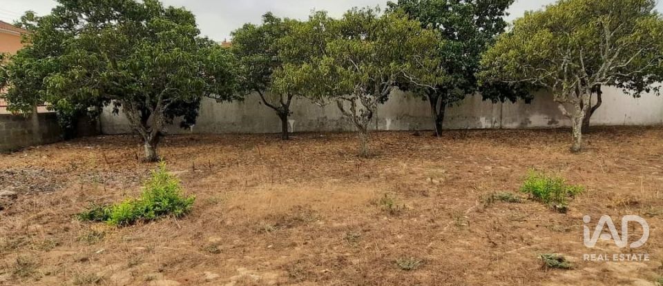 Terrain à bâtir à Muge de 375 m²