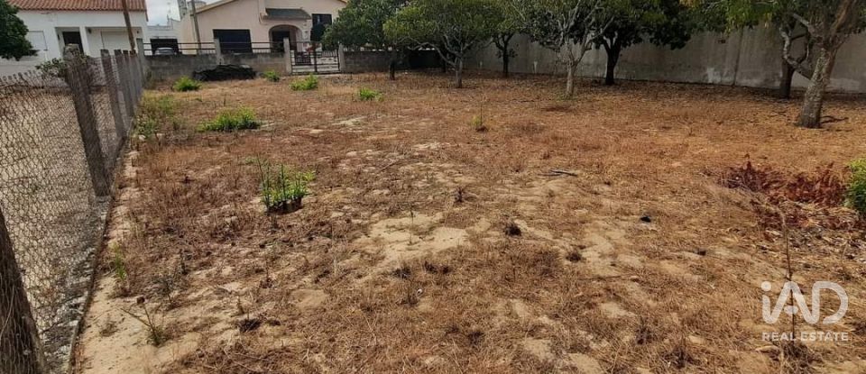 Terrain à bâtir à Muge de 375 m²