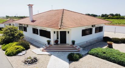 Farm T3 in Almeirim of 163 m²