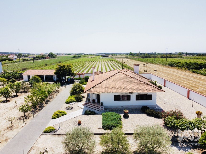 Farm T3 in Almeirim of 163 m²