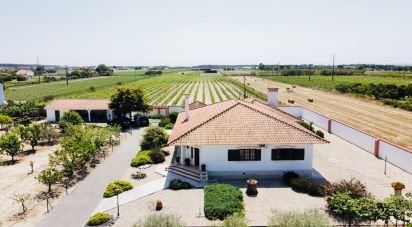 Farm T3 in Almeirim of 163 m²