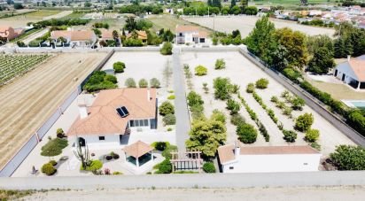 Farm T3 in Almeirim of 163 m²