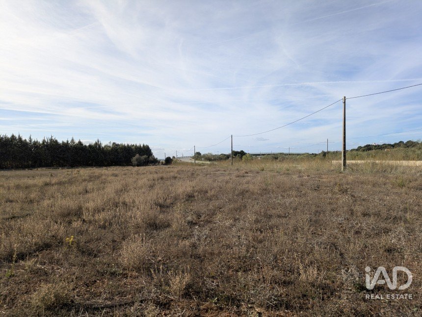 Terreno rústico em Évora Monte (Santa Maria) de 9 920 m²