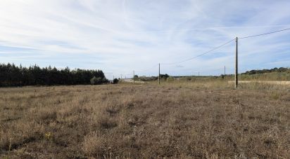 Farm land in Évora Monte (Santa Maria) of 9,920 m²