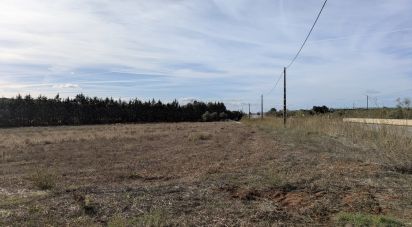 Farm land in Évora Monte (Santa Maria) of 9,920 m²