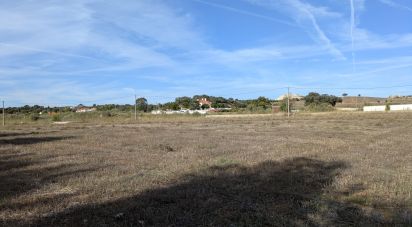 Farm land in Évora Monte (Santa Maria) of 9,920 m²
