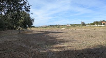 Farm land in Évora Monte (Santa Maria) of 9,920 m²
