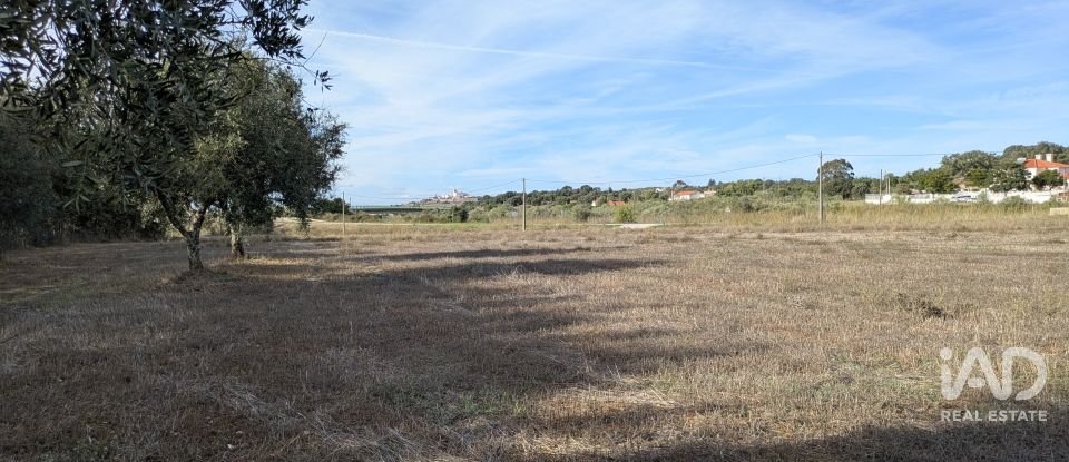 Terreno rústico em Évora Monte (Santa Maria) de 9 920 m²